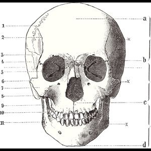 Meet your Posher, Dianna